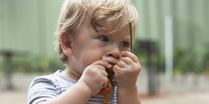 Josh eating a Tomato from family garden