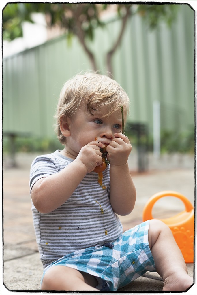 Sensory Lifestyle: Exploring grandparents garden