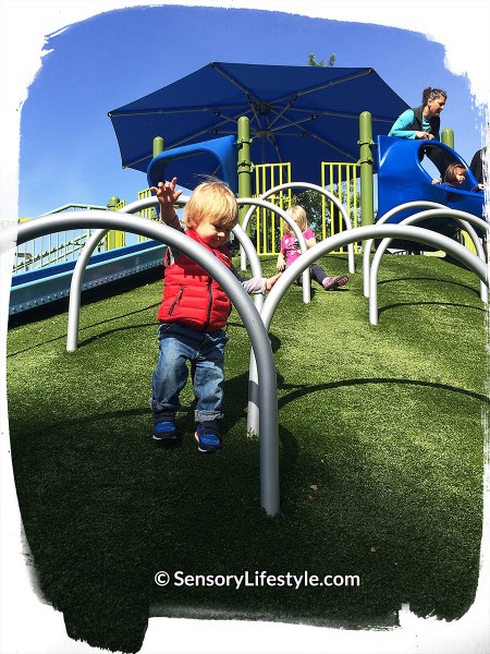 Magical Bridge Playground - Josh climbing loops