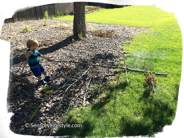 Josh pulling a branch