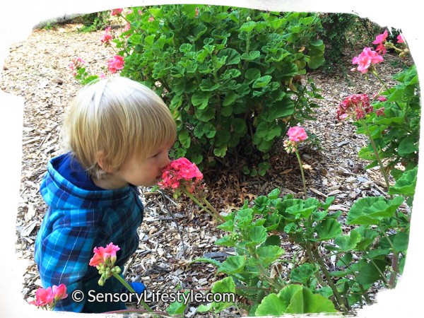 Sensory Processing: Josh smelling flowers