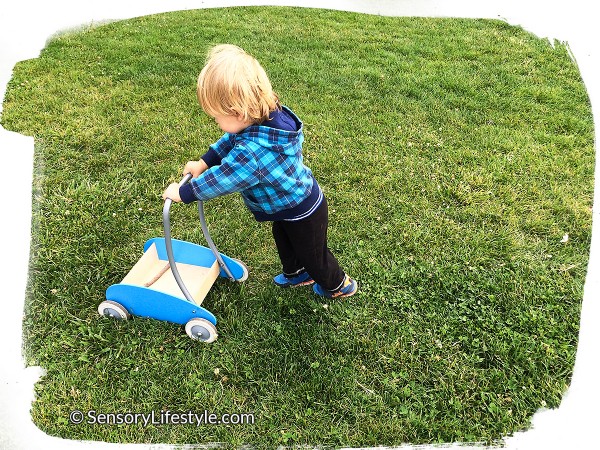 14 month toddler activities: Pushing cart