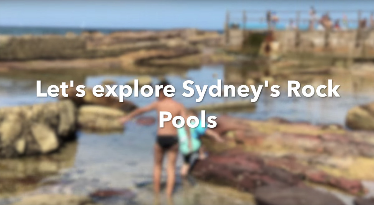 Sydney Rock Pools &  Sydney Aquarium Review