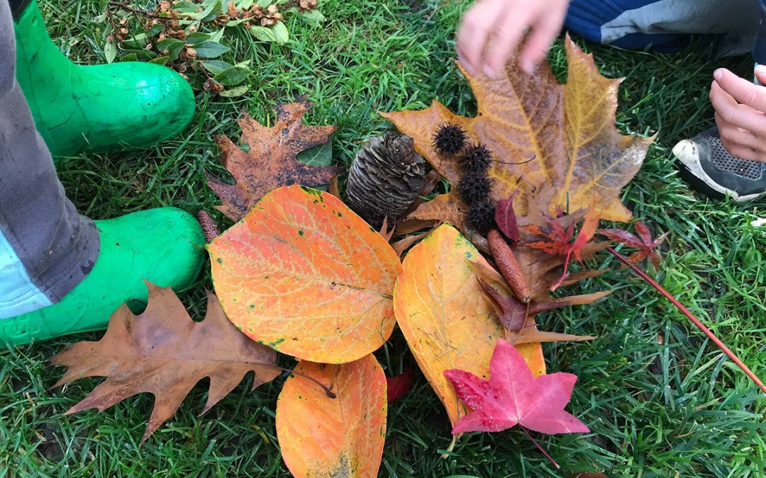 Autumn learning for toddler: leaves on ground