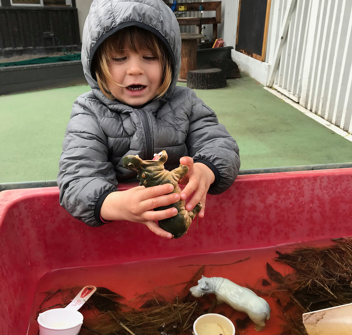 Sensory Table with Hippos